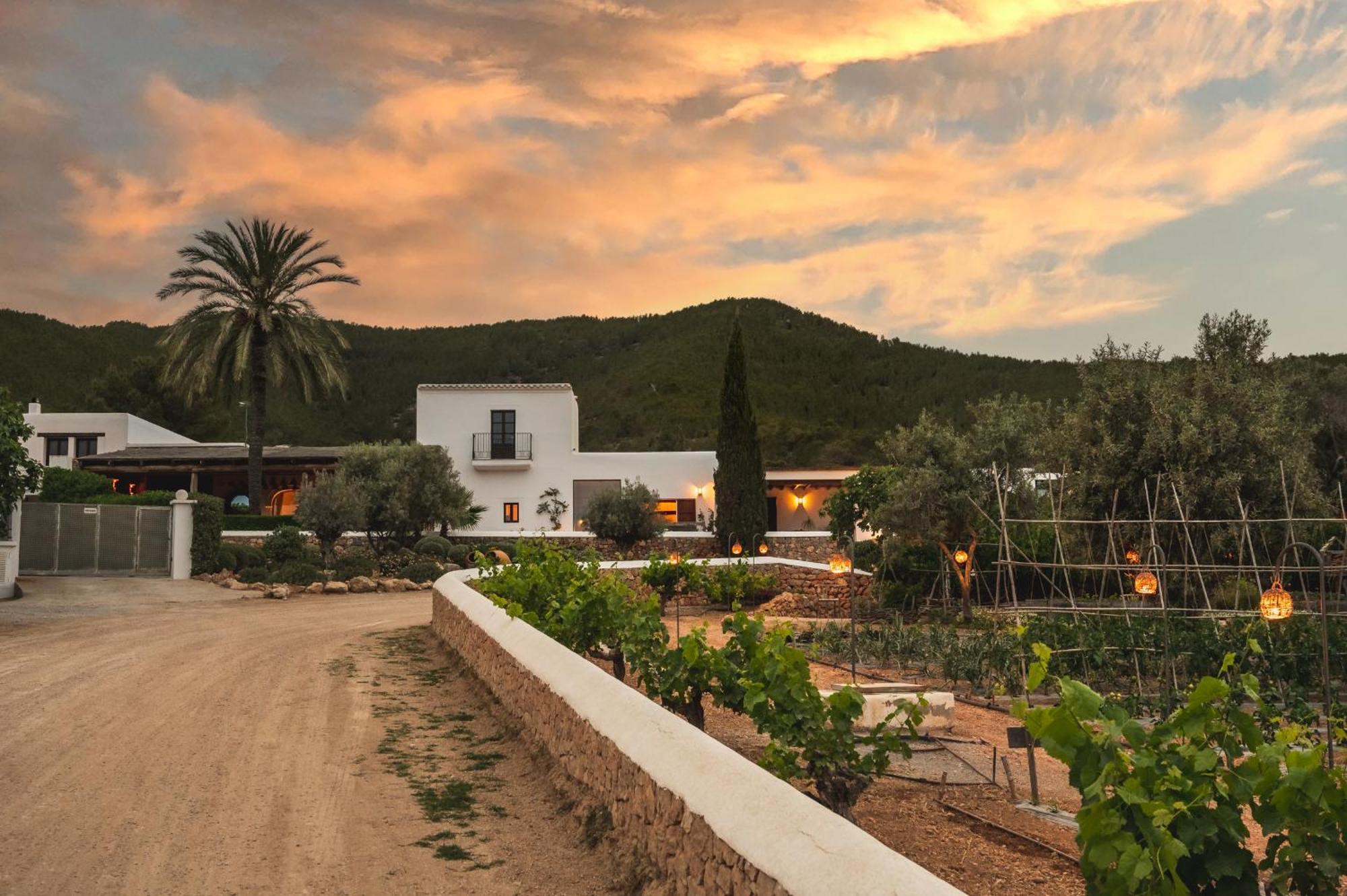 Casa Maca Hotel Ibiza
