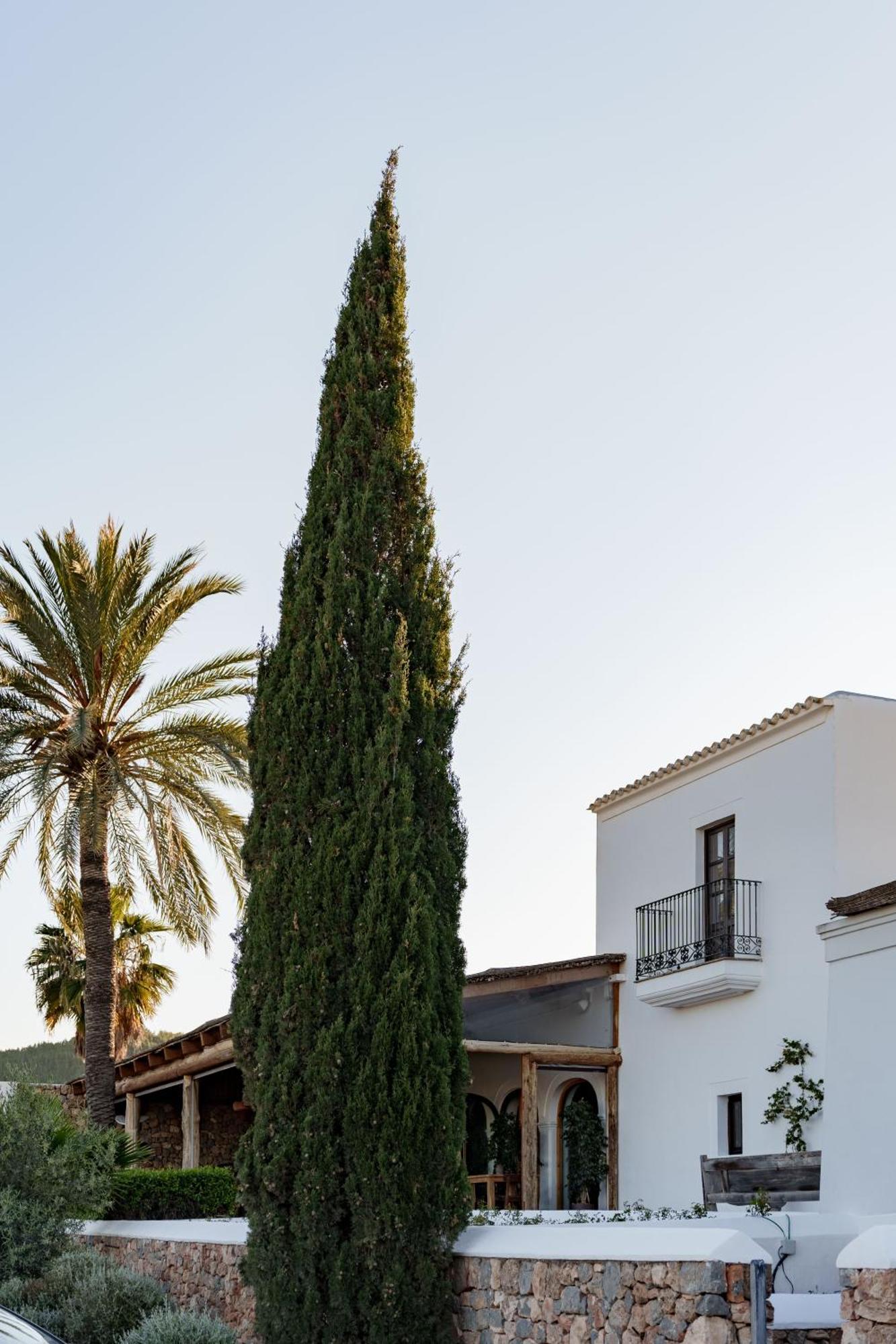 Hotel Casa Maca Ibiza